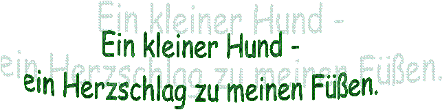 Ein kleiner Hund - &nbsp;
ein Herzschlag zu meinen F��en.  