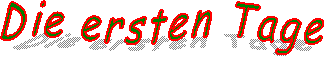 Die ersten Tage  