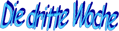 Die zweite Woche  