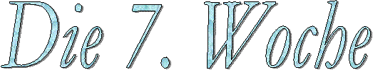Die 7 Woche  