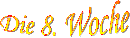 Die 8 Woche  