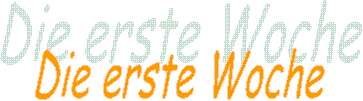 Die erste Woche